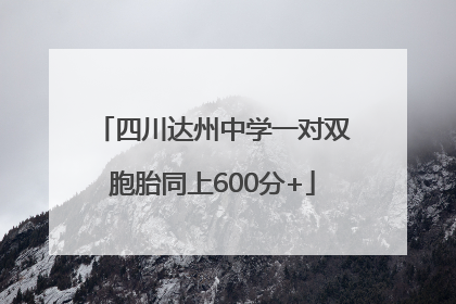 四川达州中学一对双胞胎同上600分+